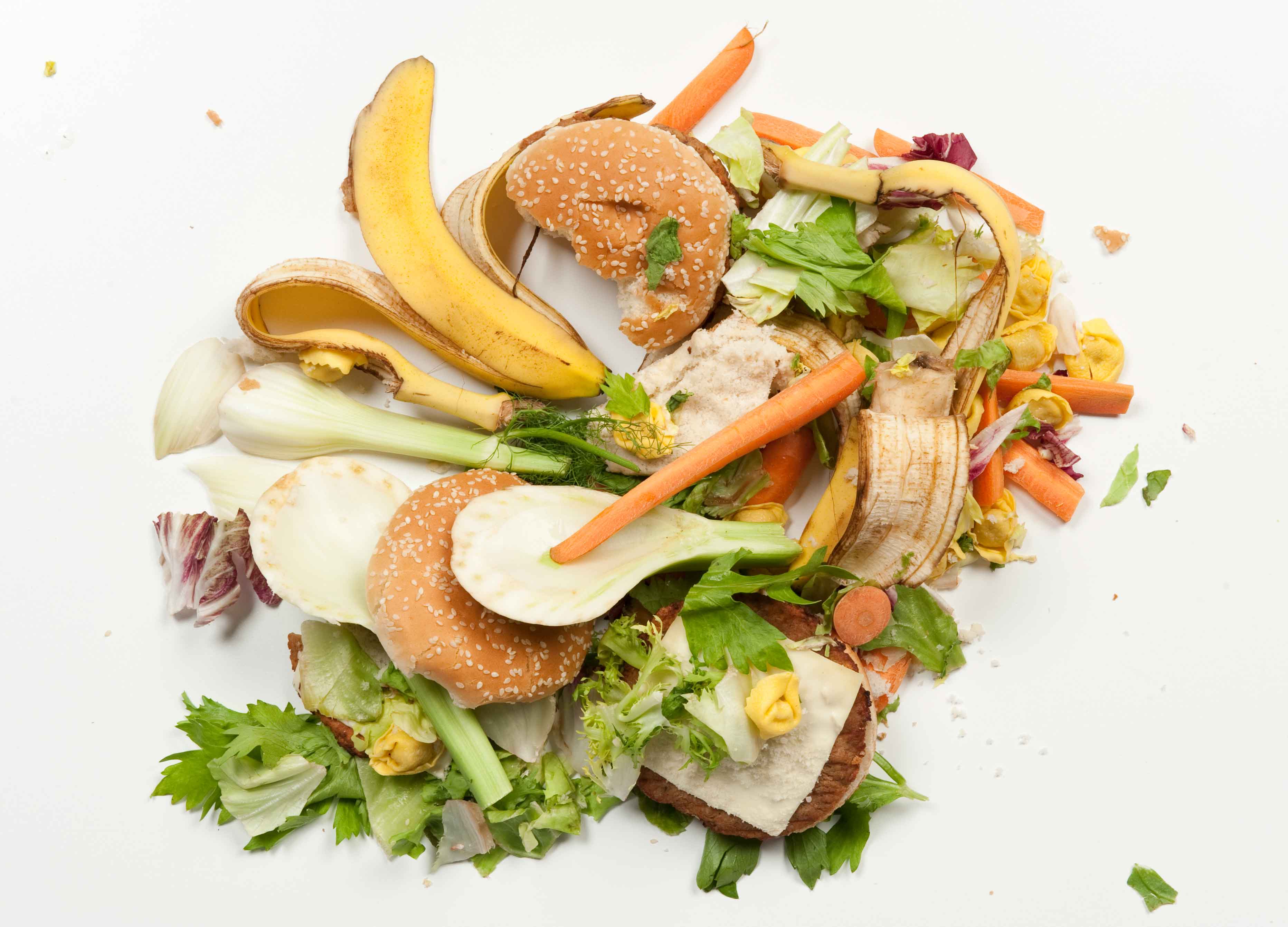Lebensmittelrecycling - Qualitätssicherung der Ausgangsstoffe für die Kompostierung